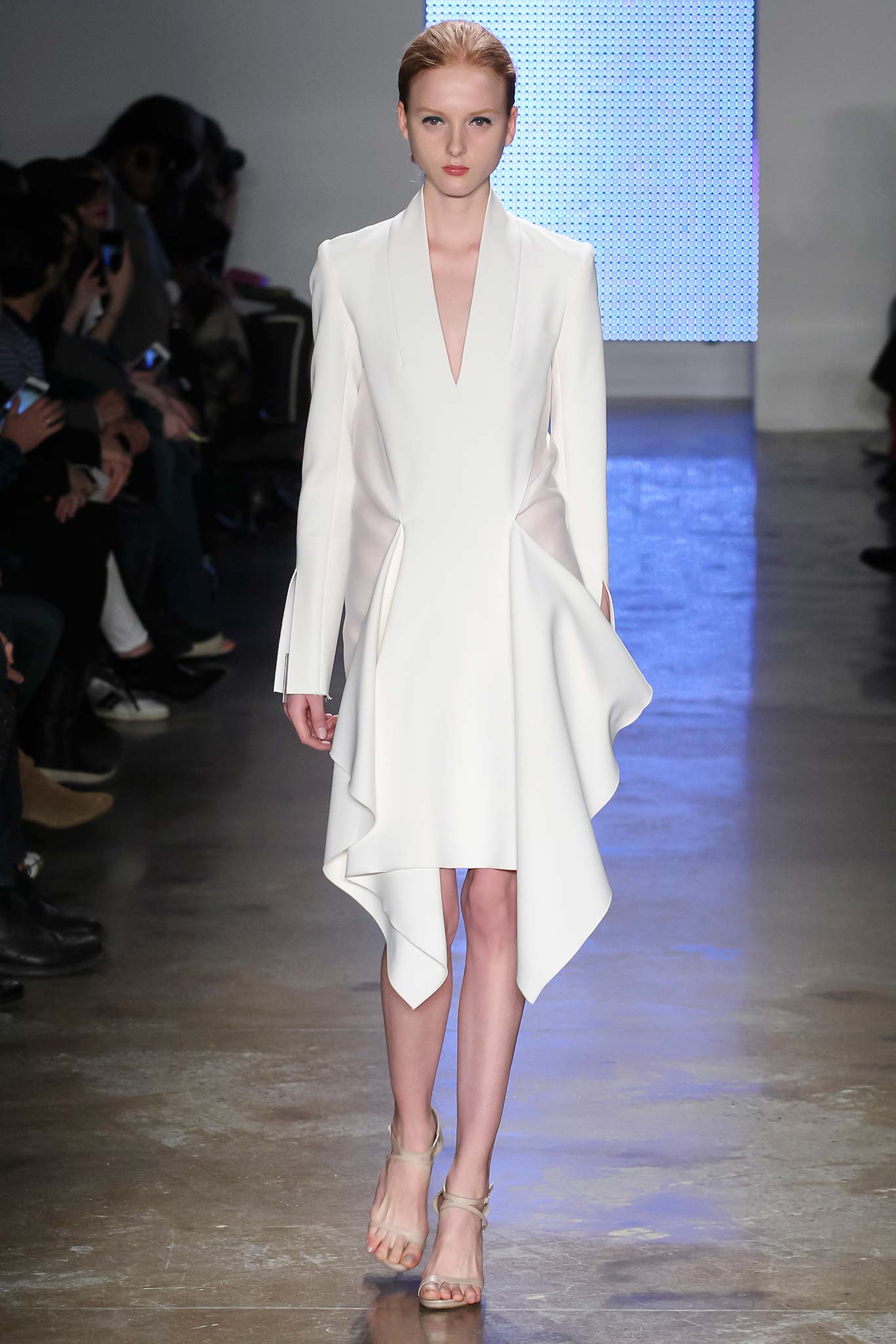 DION LEE AUTUMN/WINTER 2015-16 READY-TO-WEAR